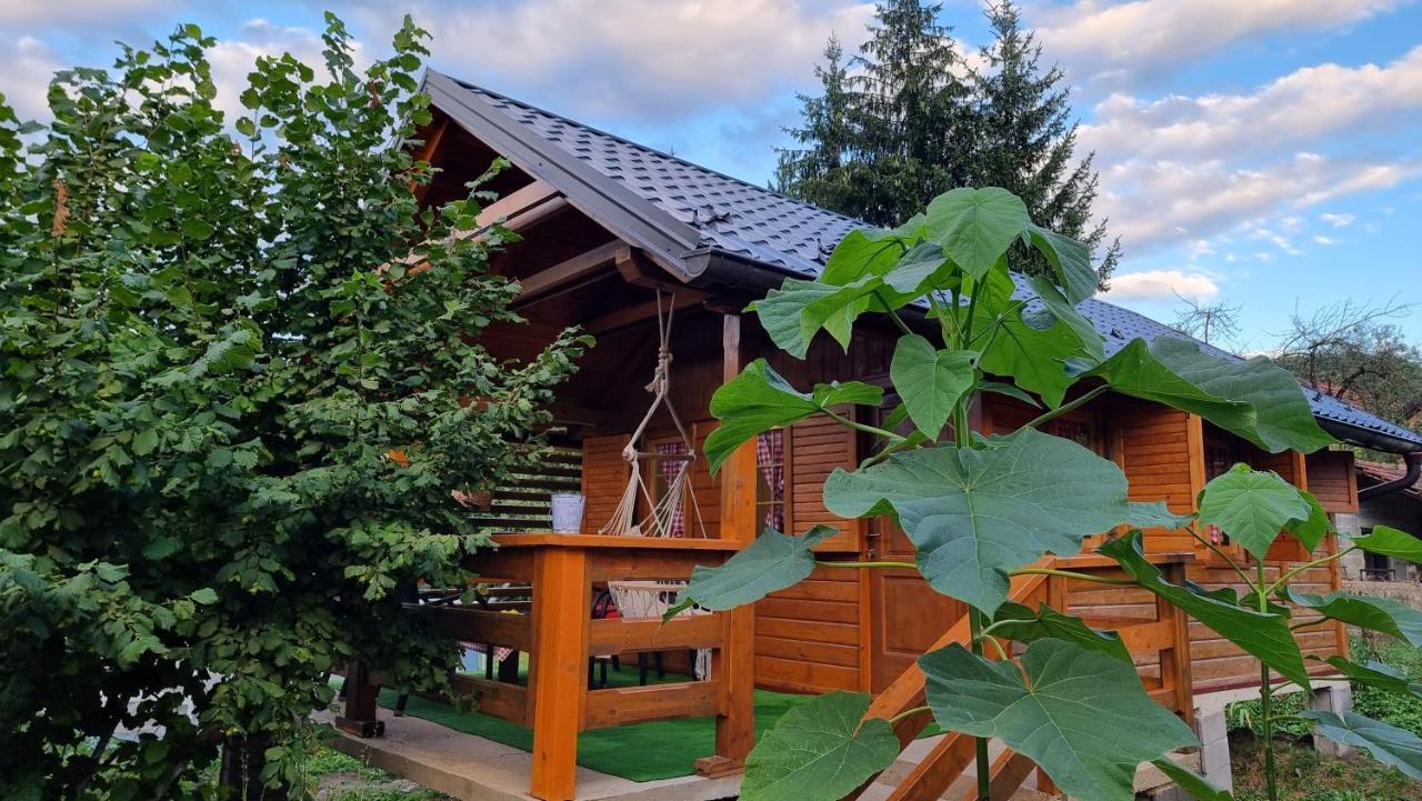 Holiday Home Sajra Kulen Vakuf Luaran gambar